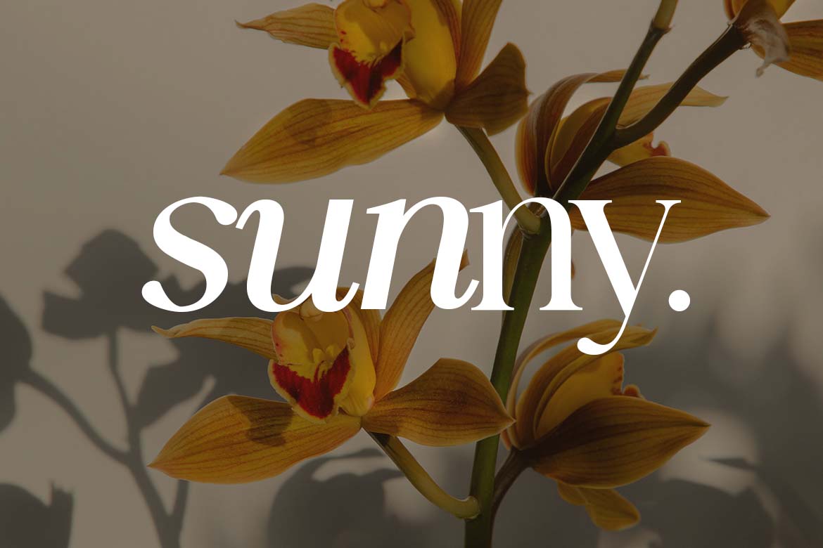 The Heritage Legacy Vintage Serif Family Font-8