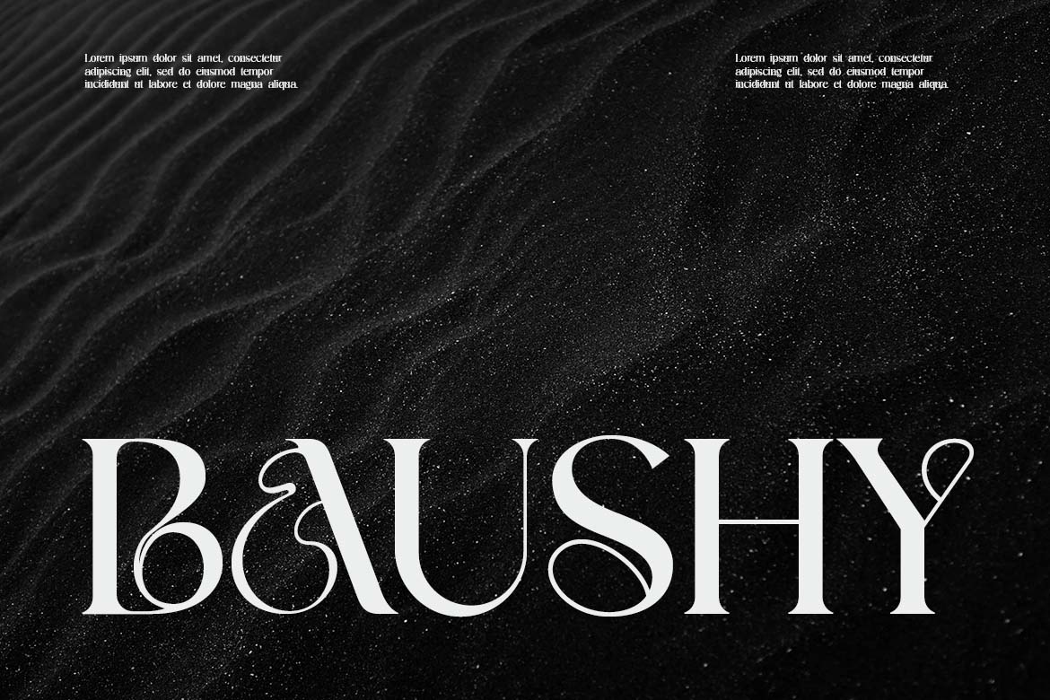 Silver District Modern Serif Font-8