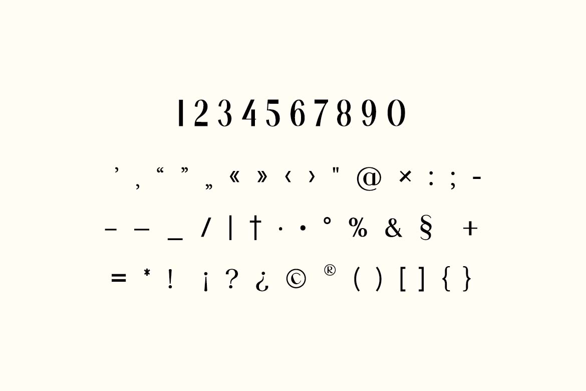 Dinner Junction Stylish Retro Serif Font-8