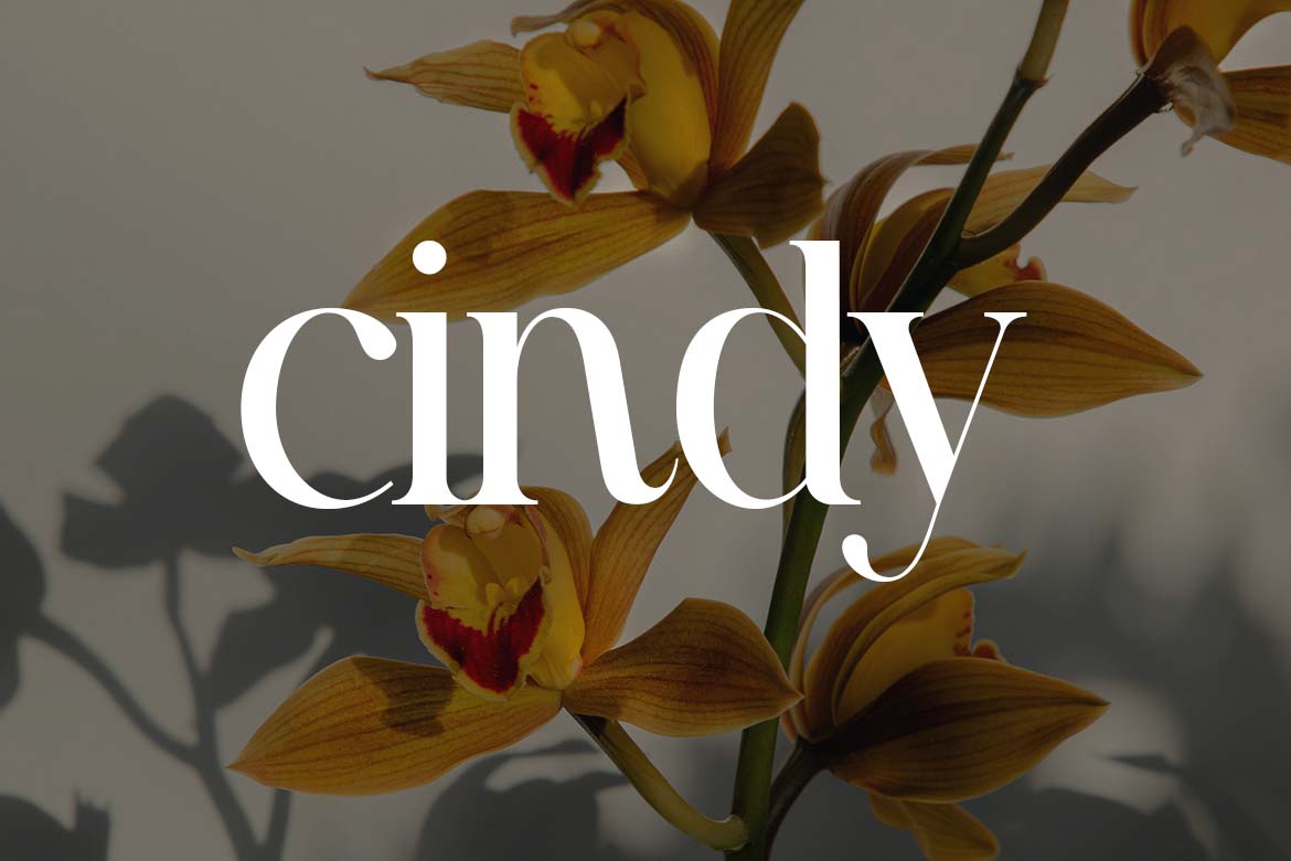 Brighton Newport Elegant Serif Font-8